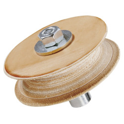 Disque de démorfilage Ø 100 MM pour affûteuse  Holzkraft NTS 200 / NTS 255