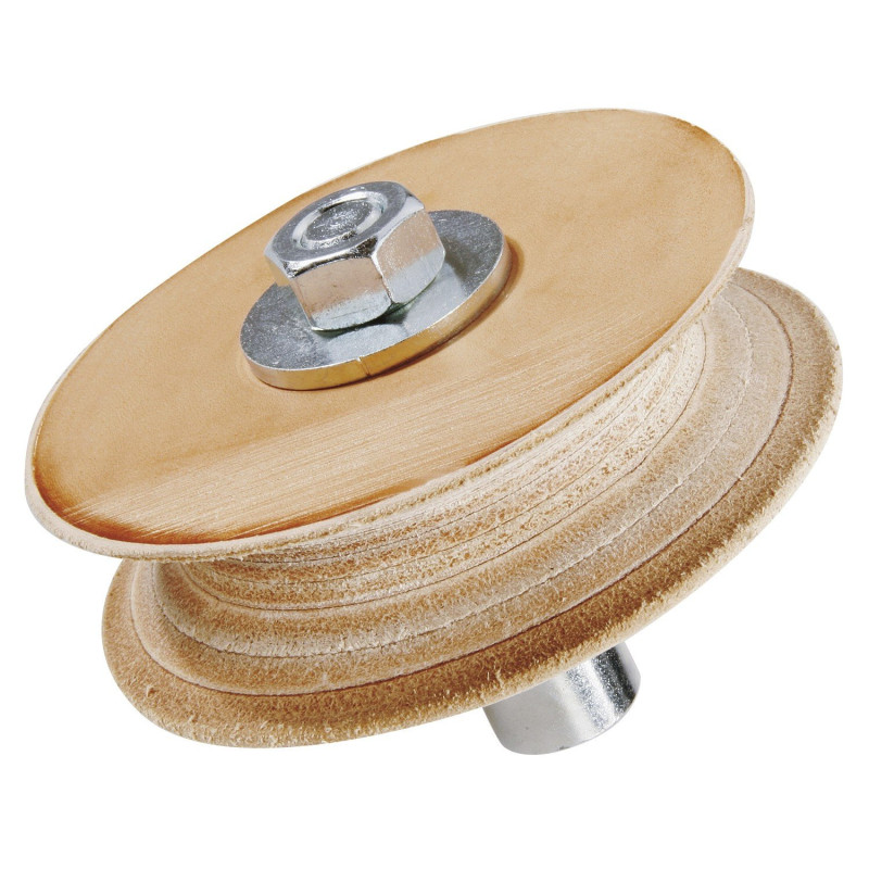 Disque de démorfilage Ø 100 MM pour affûteuse  Holzkraft NTS 200 / NTS 255