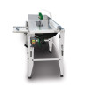 Scie circulaire de table Holzstar TKS 316 PRO (230 V) - Optimachines
