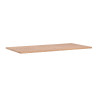 Plaque perforée 1600 x 790 mm compatible avec la table AMT 505