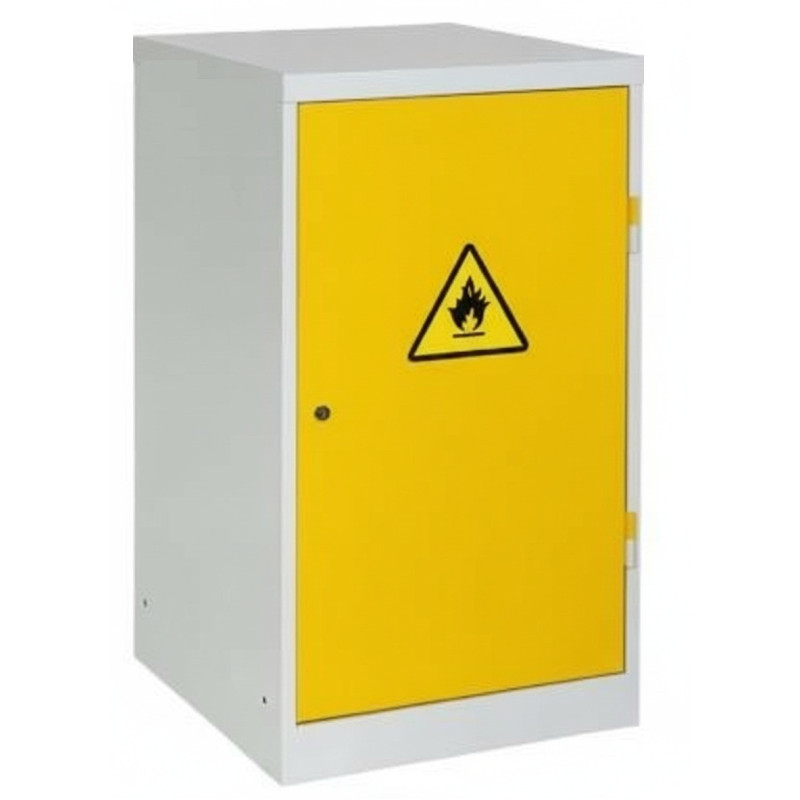 Armoire de sûreté 500 basse vide - 50L