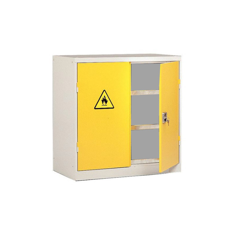 Armoire de sûreté 1000 basse vide - 100L