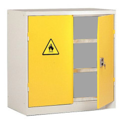 Armoire de sûreté 1000 basse vide - 100L